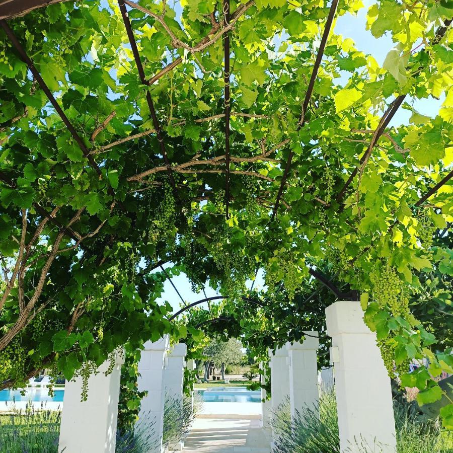 Masseria Almadava Polignano a Mare Esterno foto