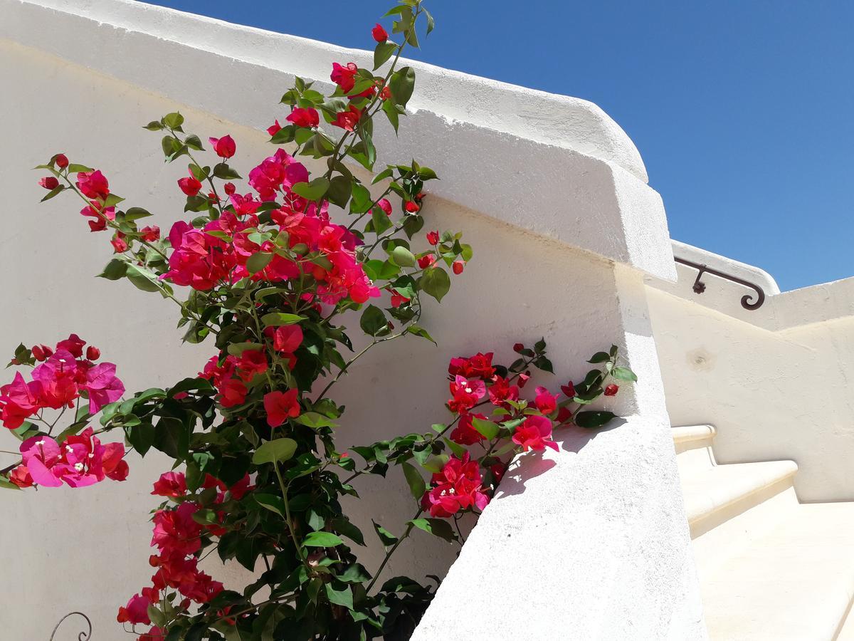 Masseria Almadava Polignano a Mare Esterno foto